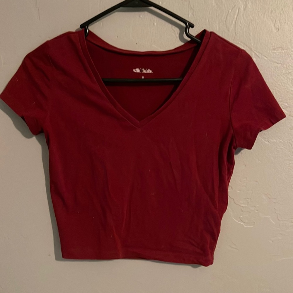 COPY - small wild fable v-neck cropped tee